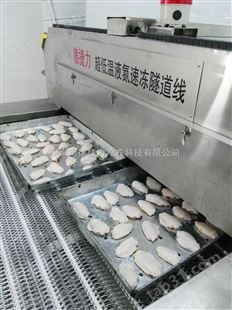 广州液氮速冻机