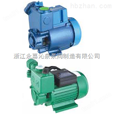 沁泉 1WBZ-15S不锈钢旋涡式（自动）自吸电泵