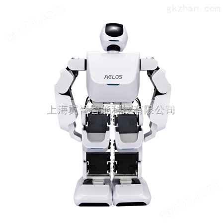 智能娱乐机器人，智能机器人