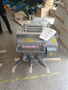 广东电力ZW20智能断路器