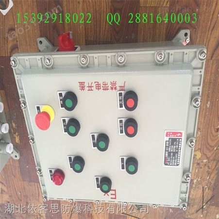 BXK8050-A2B1D2L防爆控制箱