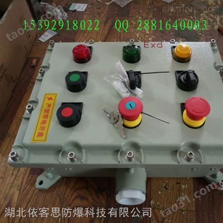 BXK51-A3D3K1G防爆控制箱